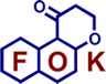 [NKS FOK logo]
